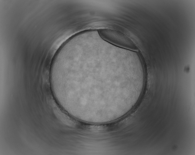 X0000116561465200912311922