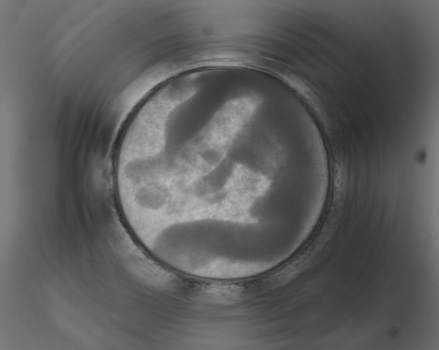 X0000116561466200912311922