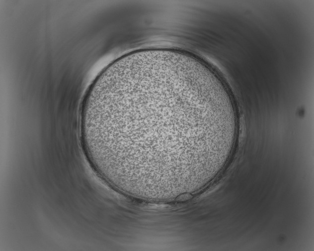 X0000116561467200912311922