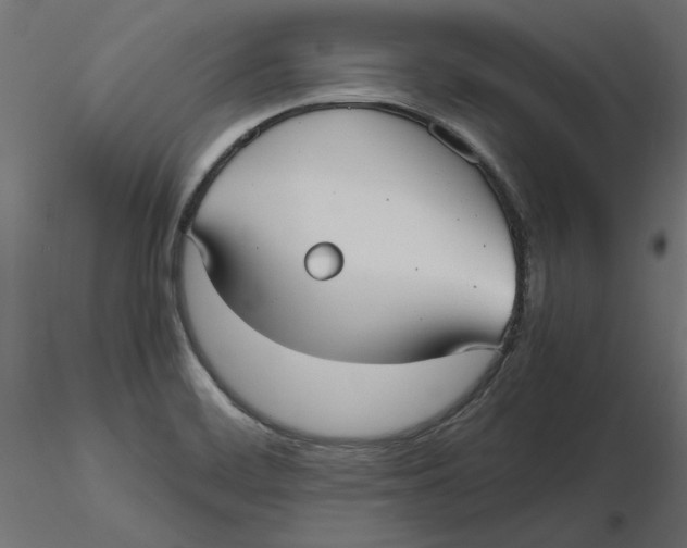 X0000116561468200912311922