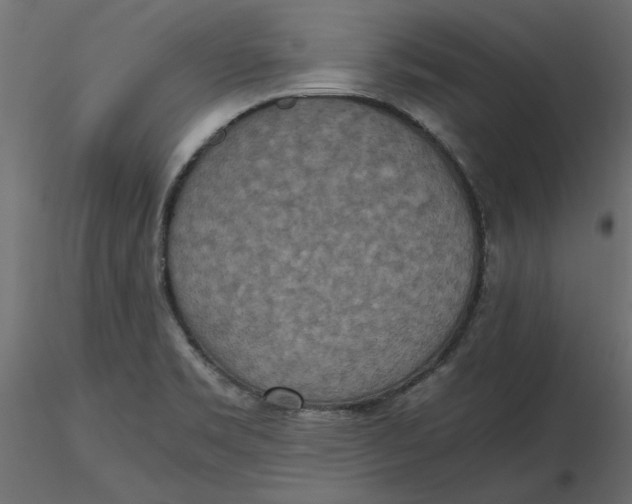 X0000116561469200912311922