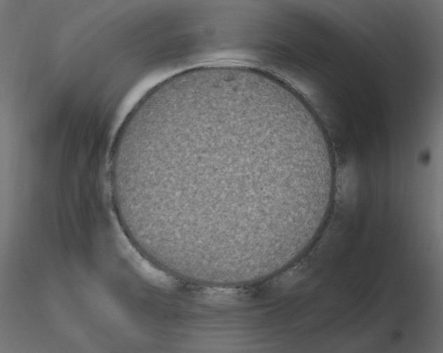 X0000116561470200912311922