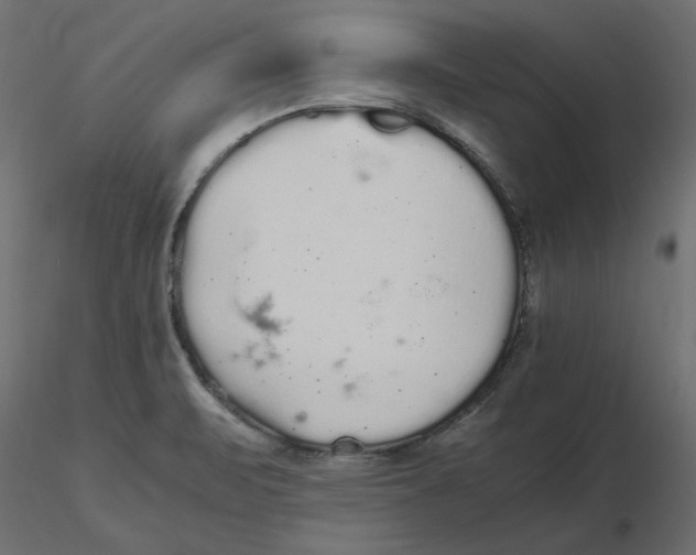 X0000116561471200912311922