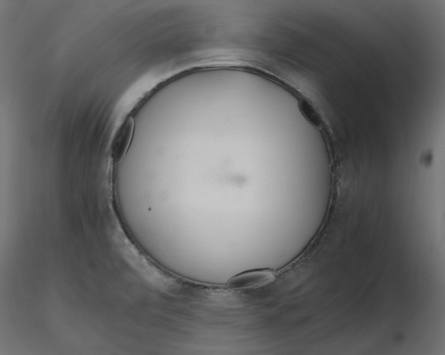 X0000116561472200912311922