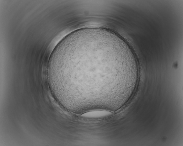 X0000116561473200912311922