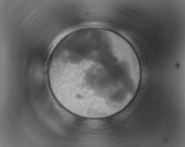 X0000116561474200912311922