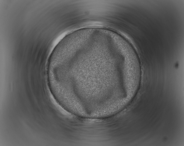 X0000116561475200912311922