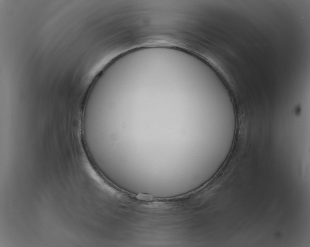 X0000116561476200912311922