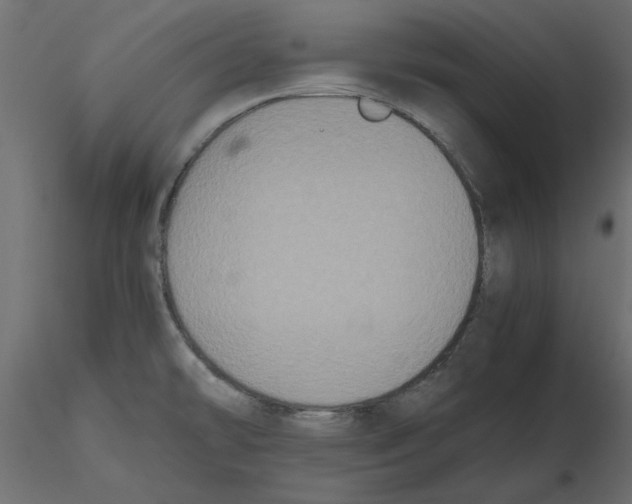 X0000116561478200912311922