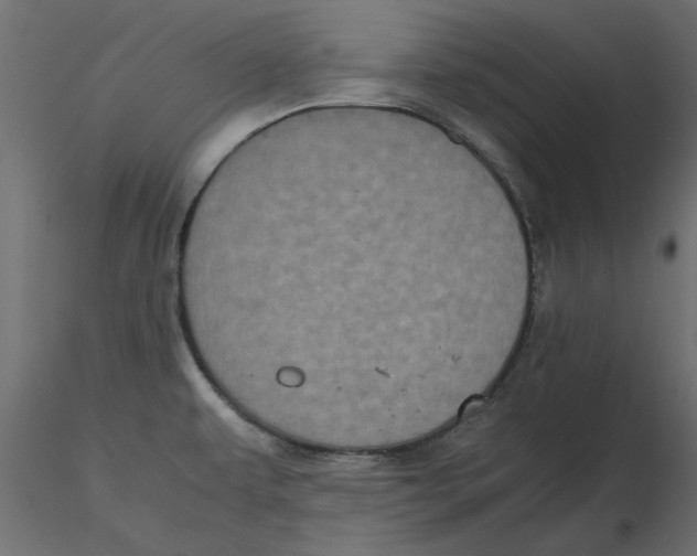 X0000116561479200912311922