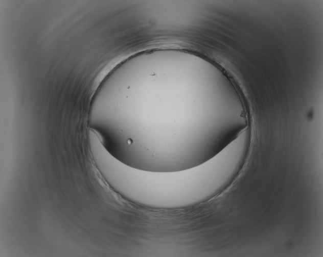 X0000116561481200912311922