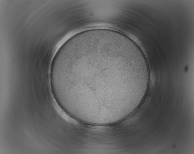 X0000116561482200912311922