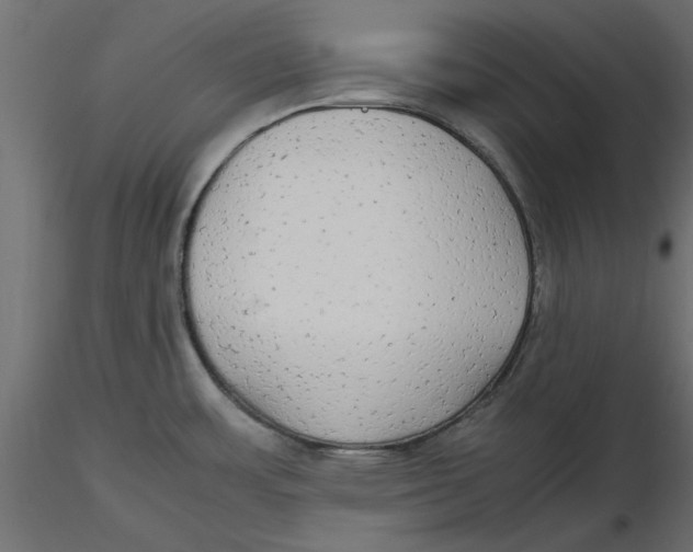 X0000116561483200912311922