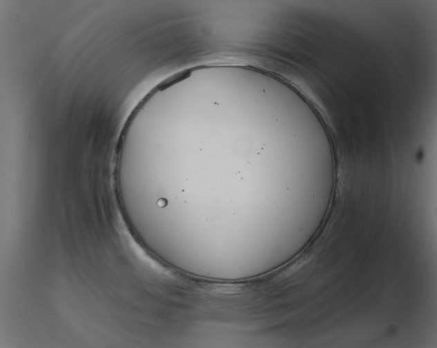 X0000116561484200912311922