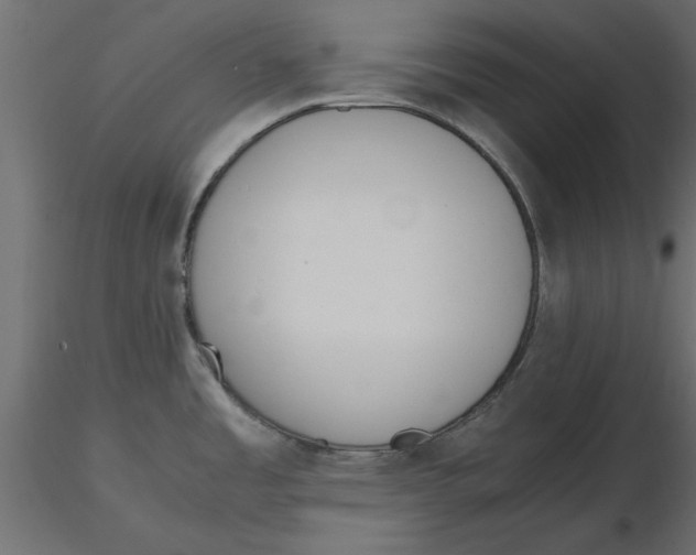 X0000116561485200912311922