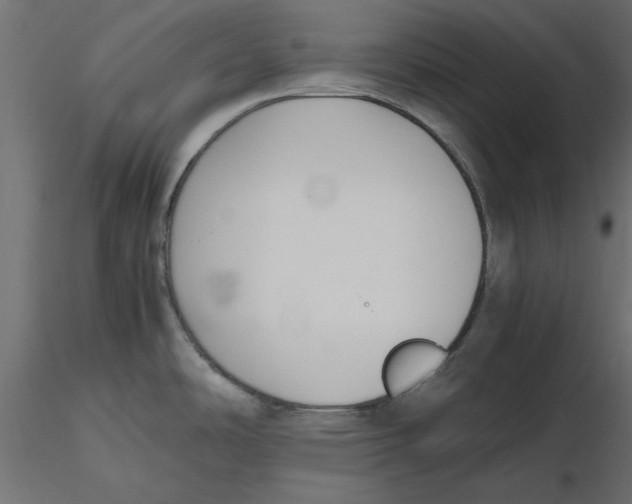 X0000116561486200912311922