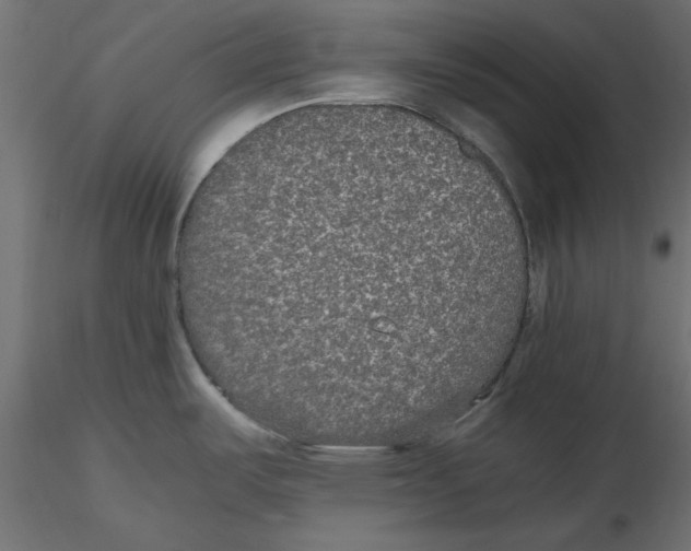 X0000116561487200912311922