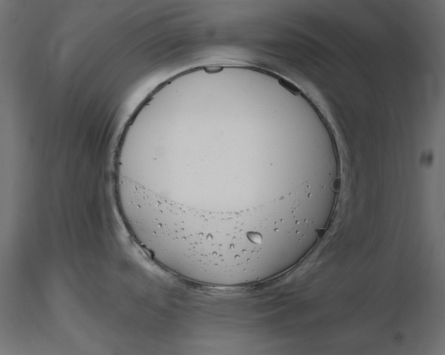 X0000116561488200912311922