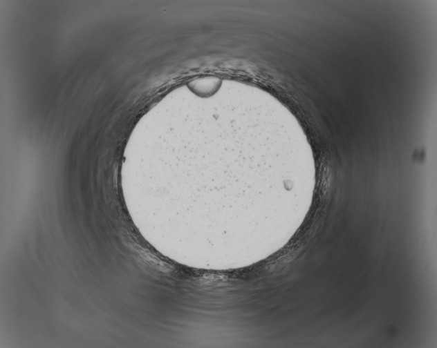 X0000116561489200912311921