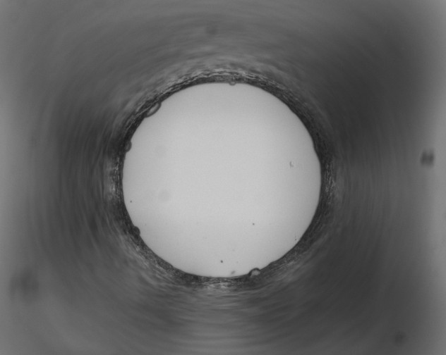 X0000116561490200912311921