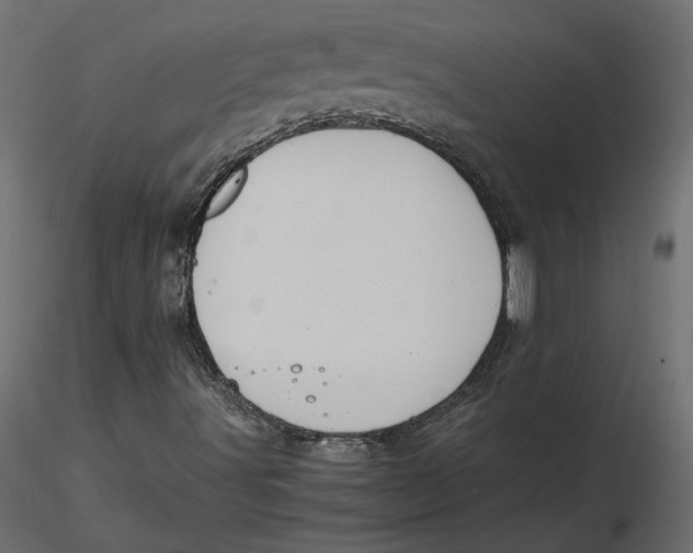 X0000116561491200912311921