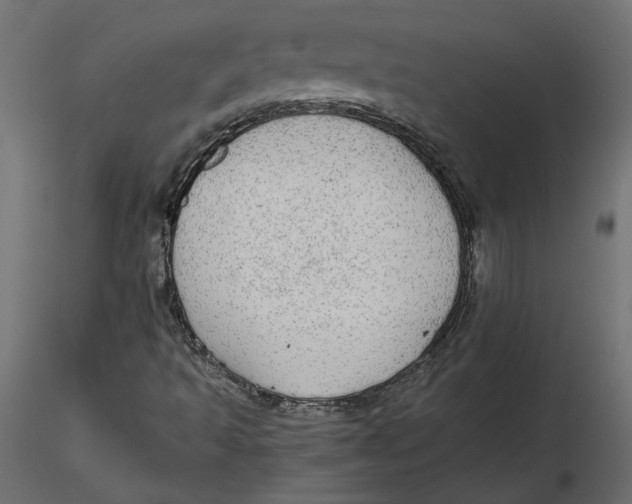 X0000116561493200912311921