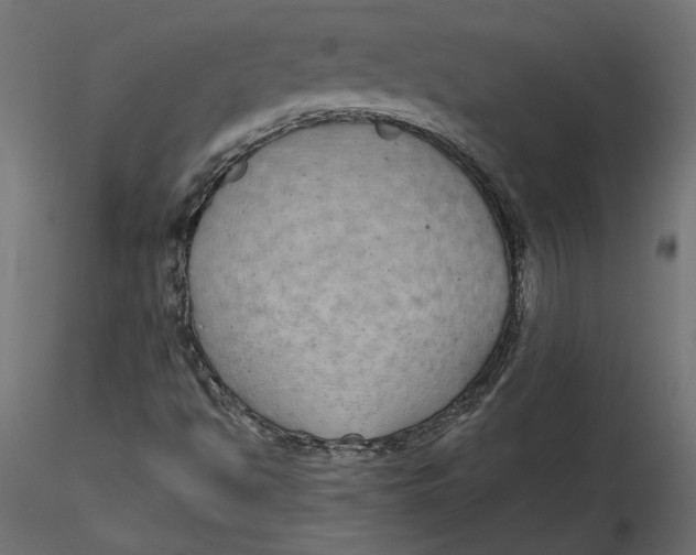 X0000116561494200912311921