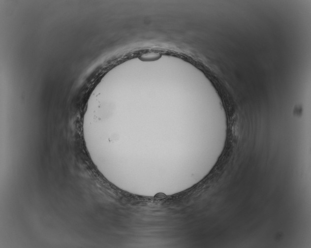 X0000116561495200912311921