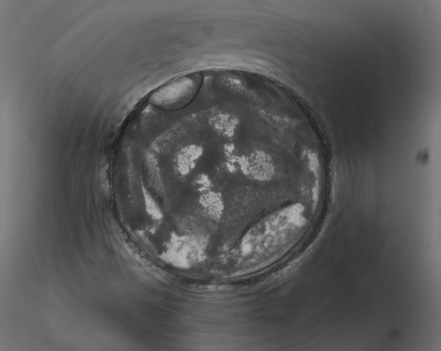 X0000116561497200912311921