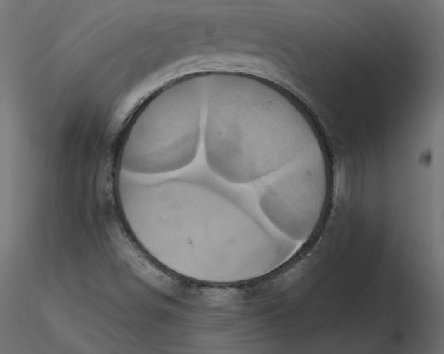 X0000116561498200912311921