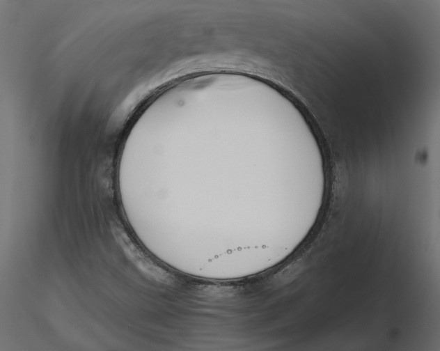 X0000116561499200912311921