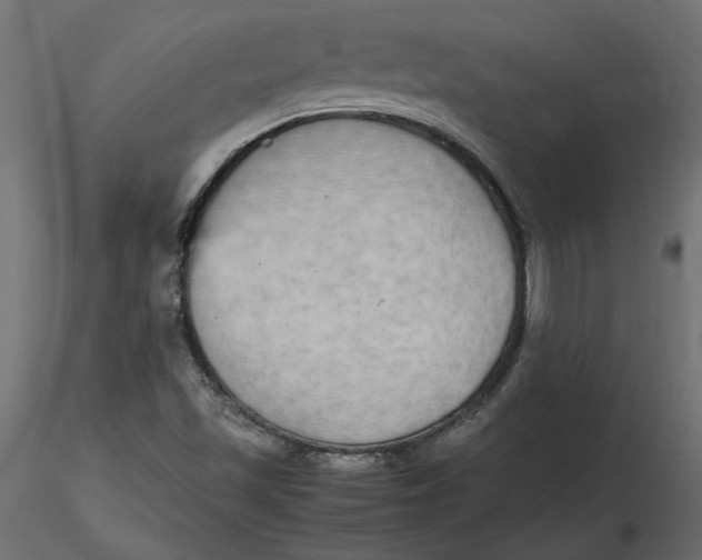 X0000116561501200912311921