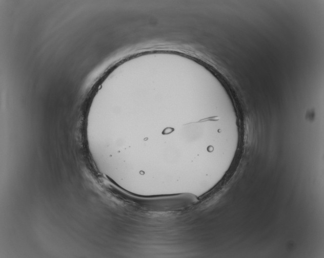 X0000116561502200912311921