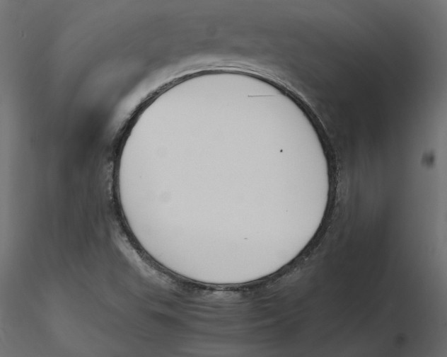 X0000116561503200912311921