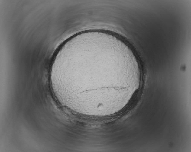 X0000116561505200912311921