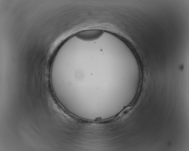 X0000116561506200912311921