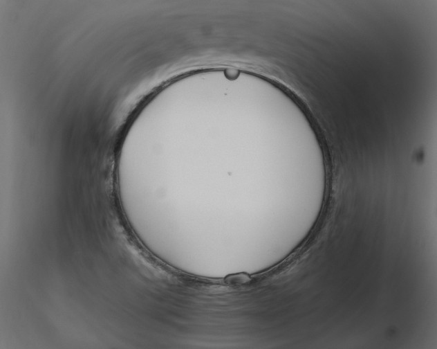 X0000116561507200912311921