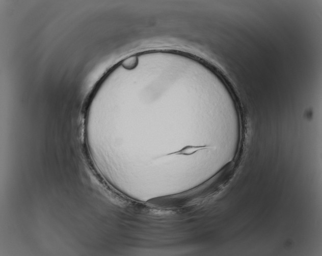 X0000116561509200912311922