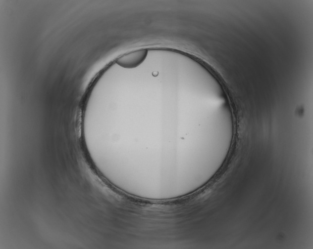 X0000116561510200912311922