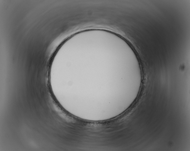 X0000116561511200912311922