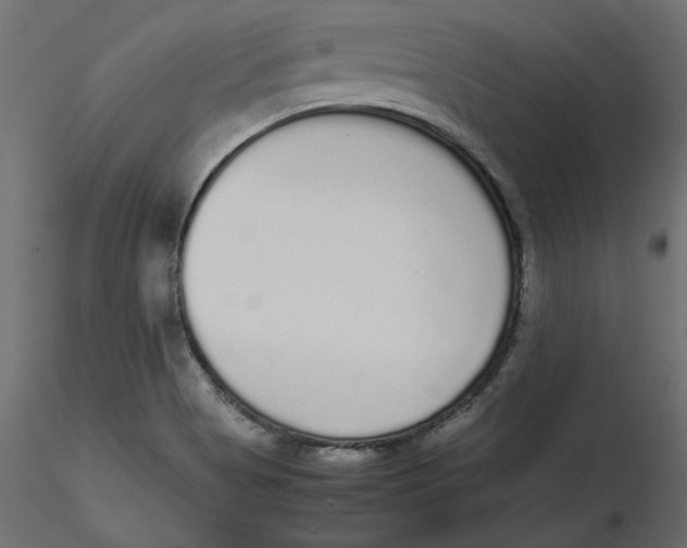 X0000116561513200912311922