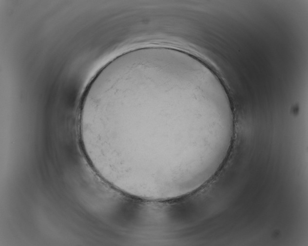 X0000116561514200912311922