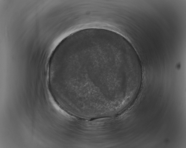 X0000116561515200912311922