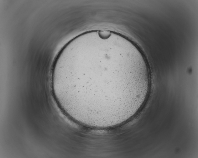 X0000116561517200912311922