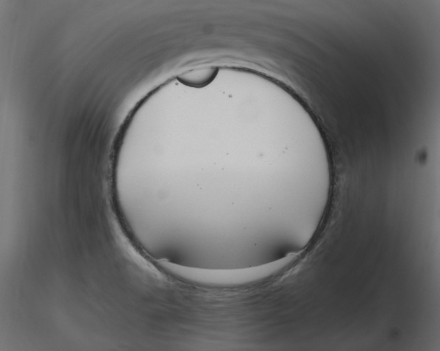 X0000116561518200912311922