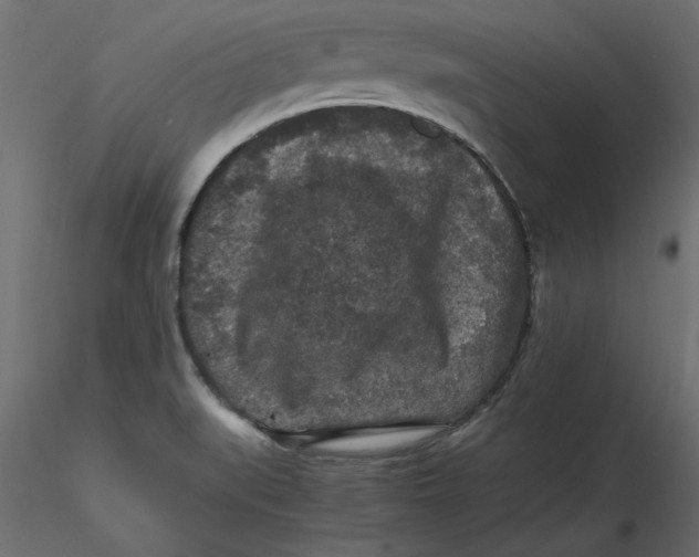 X0000116561519200912311922