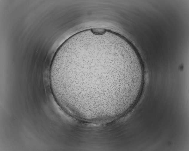 X0000116561521200912311922