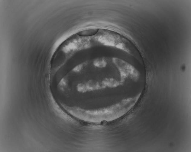 X0000116561522200912311922