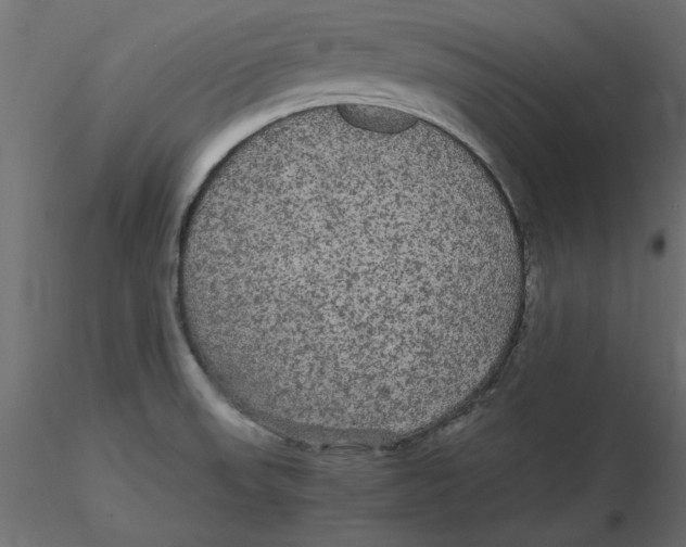 X0000116561523200912311922