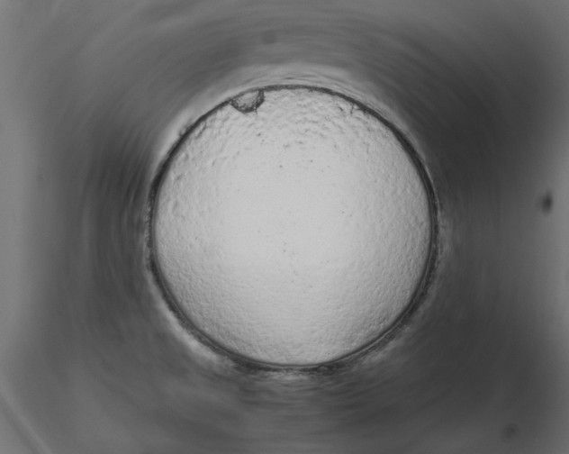 X0000116561525200912311922